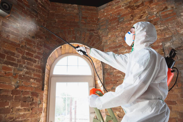 Best Mold Remediation for Healthcare Facilities  in Fayetteville, NY